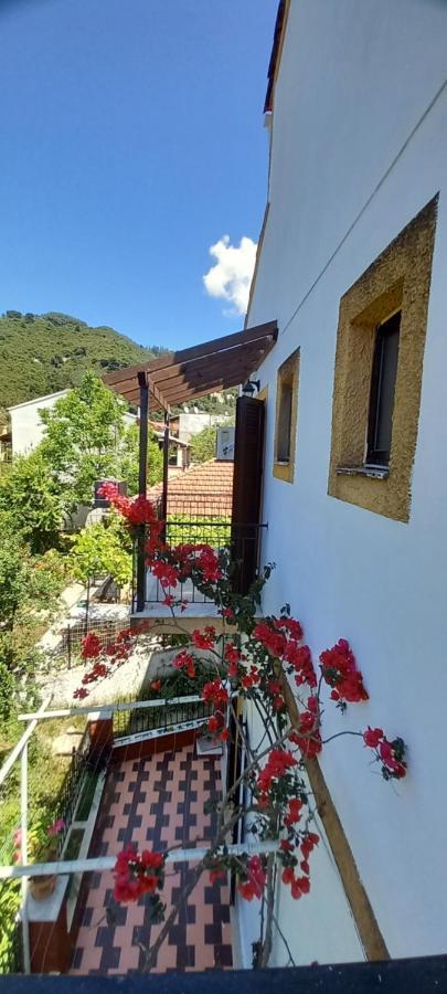 Nikis Apartments Agios Gordios  Exterior photo